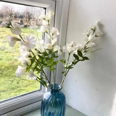 Cosy In Galway